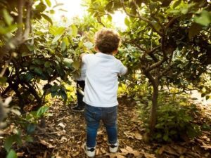 child walking through forest