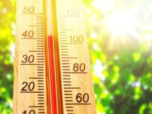 Thermometer showing 40 degrees centigrade